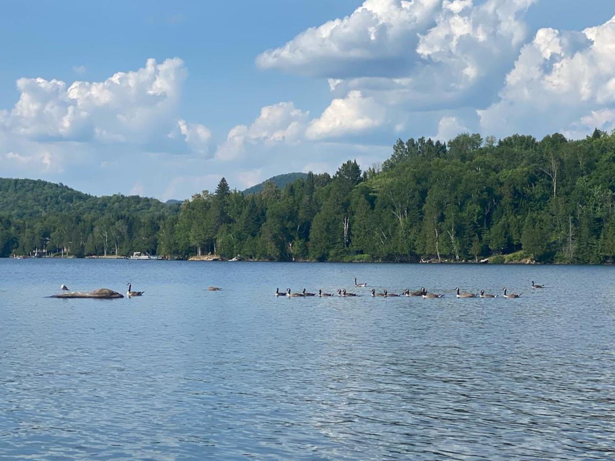 Chalets Et Studios Le Vent Du Nord Lac-Superieur Eksteriør billede