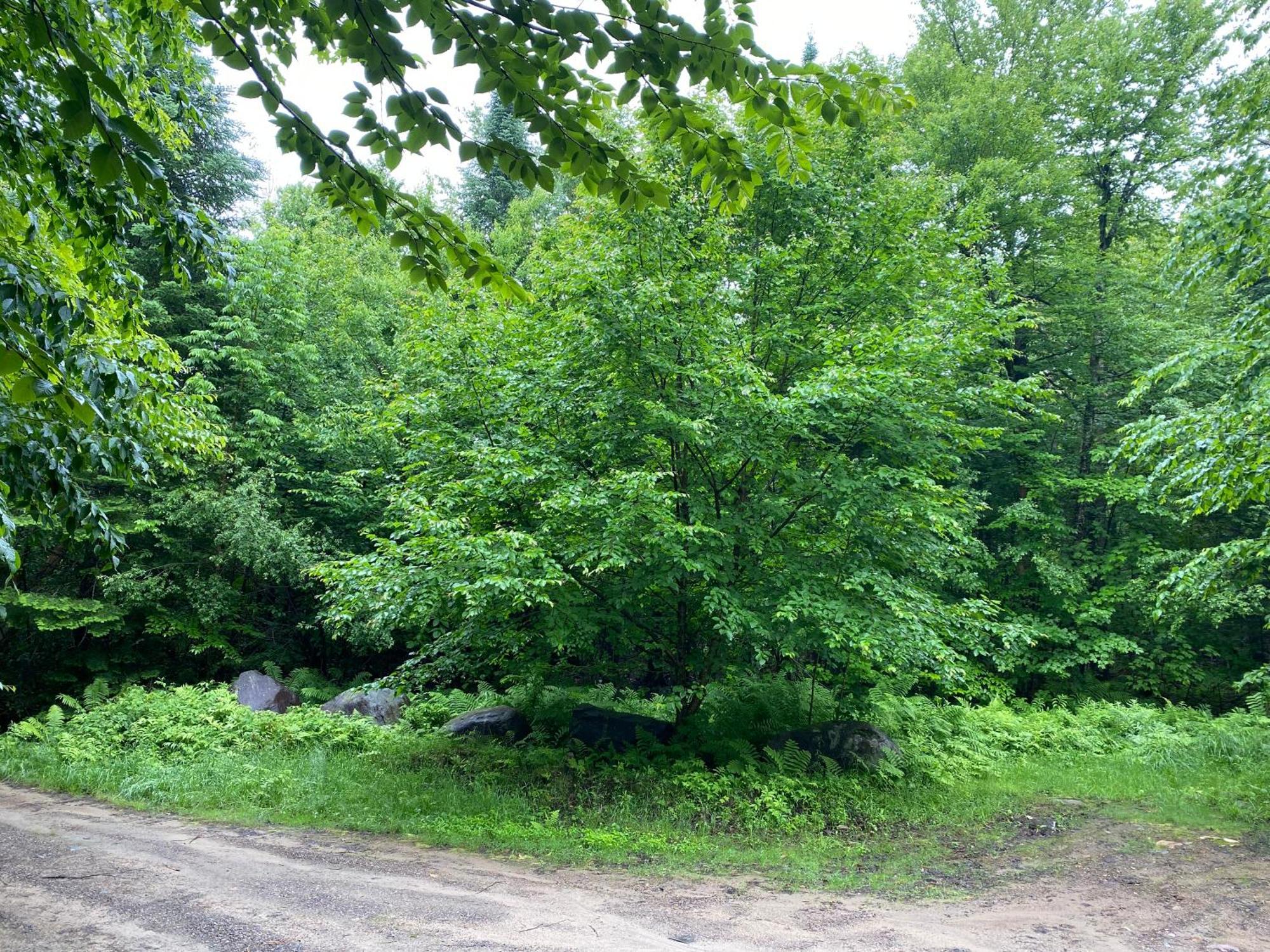 Chalets Et Studios Le Vent Du Nord Lac-Superieur Eksteriør billede