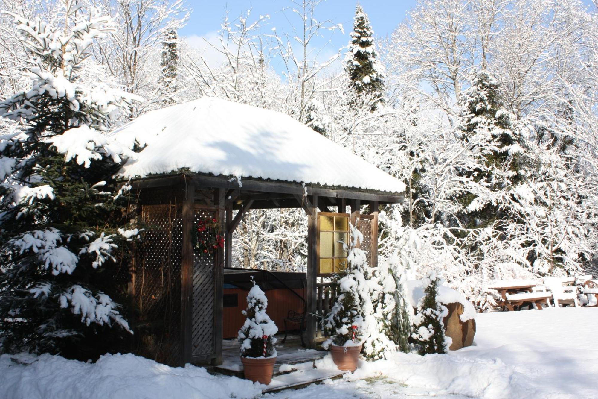 Chalets Et Studios Le Vent Du Nord Lac-Superieur Eksteriør billede